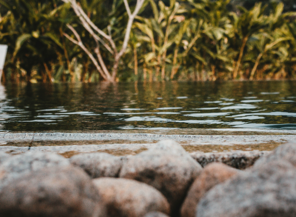 картинка — пруд с уровня воды